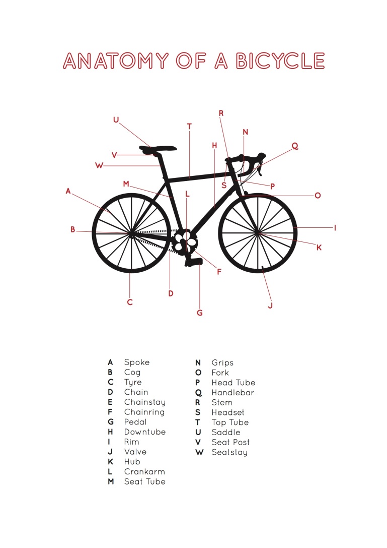 Bike anatomy2